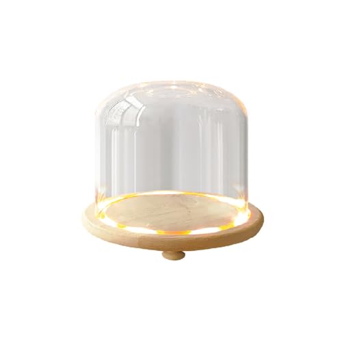 st@r ink KXh[ LEDt RNVP[X VEP[X V[P[X fBXvCP[X KXP[X 12x12