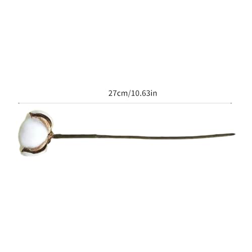 Pack de 10 tallos de flor de algodón seca natural miniatura 7
