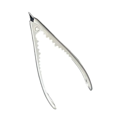 Cracker per frutti di mare in acciaio inossidabile, strumenti per cracker per cosce di granchio | Gadget da cucina per aprire le vongole | Pinza per vongole per uso domestico, apri pesce portatile per