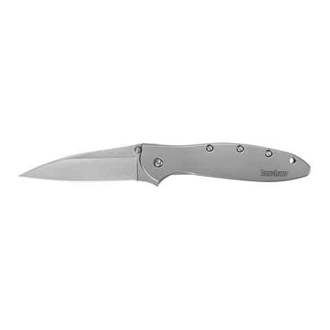 Kershaw Leek Pocket Knife, 3" 14C28N Stainless Steel Drop Point Blade, Spring Assisted Knife, Folding EDC Cover