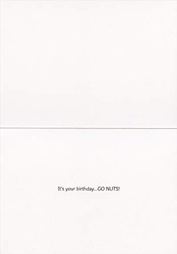 Designer Greetings Squirrels with Birthday Candle on Acorn Funny/Humorous Birthday Card