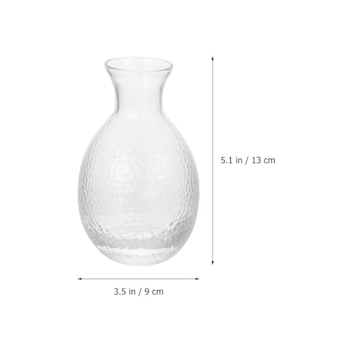 Conteneur à glace pour saké SOLUSTRE en verre facile à nettoyer - 3
