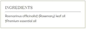 Young Living Rosemary Essential Oil | 15 ml | Crisp, Herbaceous Aroma for Diffusion, Topical Use & Aromatherapy | Supports Cognitive Clarity & Relaxation | Premium Seed to Seal Essential Oil