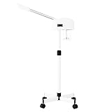 Longing Home LCD Screen Facial Steamer, Professional Standing Facial Steamer with Hot Mist Function and Ozone Function, Facial Steamer with Wfor Personal Home Salon Spa Skin Cleaning （White）