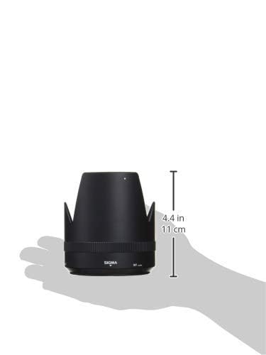 Parasol Sigma SINP640 de alta precision para objetivos 2