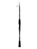 Daiwa Ninja Tele 2,10 Mt 10-25 Gr