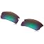Prizm Shallow Water Polarized