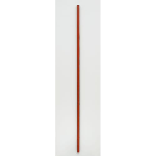Impression sur toile d'art Barnett Newman The Wild avec encres d'archivage