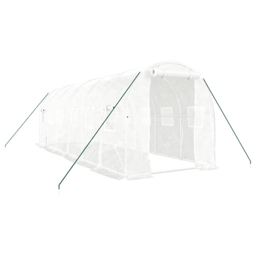 Tomostar Serre de Jardin Tunnel, Serre de Jardin avec Cadre en Acier Blanc 12 m² 6x2x2 m