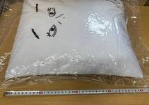 乃木坂46 福袋2023 メンバーデザイン個別クッション 井上和 : 乃木坂46