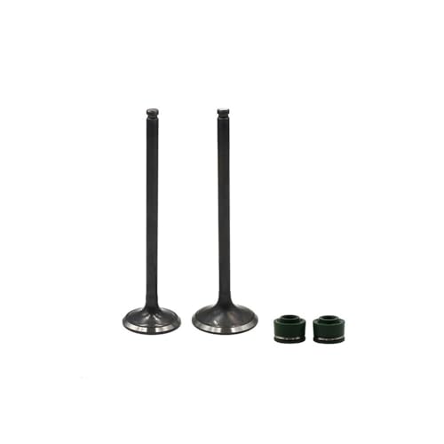 Kit tige de soupape et joint d'huile pour DR250 AN250 1990-2007