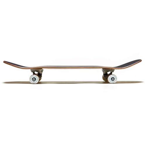 Image of [CCS] Skateboard Complete | Maple Wood | Professional Grade | Fully Assembled with Skate Tool & Stickers | Adults, Kids, Teens, Youth | Boys & Girls