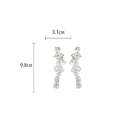 Boucles d'oreilles acrylique transparent de forme irrégulière haut de gamme