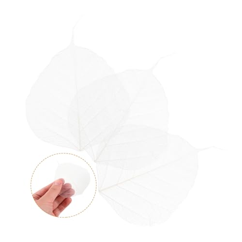 20 hojas secas esqueleto para manualidades y scrapbooking miniatura 7