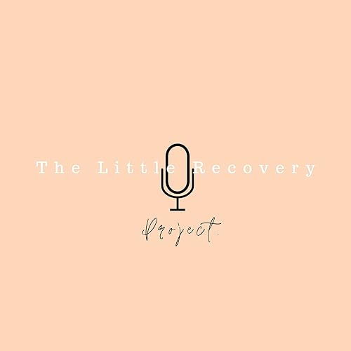 The Little Recovery Project cover art