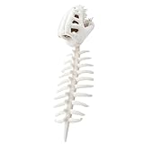 Dinosaur Costume,Wearable Soft Funny Headpiece Doll | Dinosaur Headpiece Toy - for Home House Bedroom Party Indoor Boys Girls