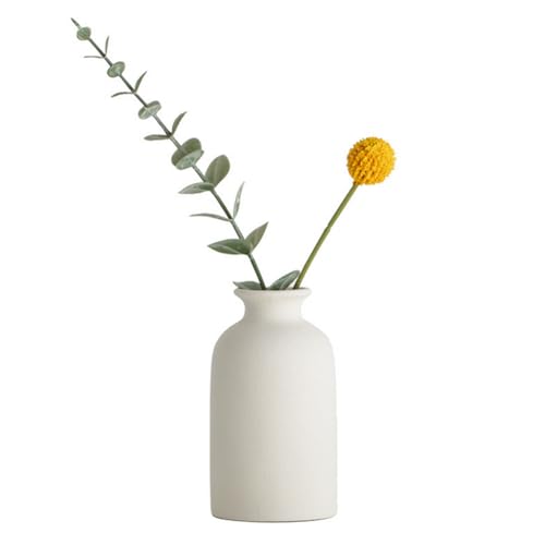 Petit vase rond en céramique pour fleurs séchées - Style bohème minimaliste - Décoration d'intérieur pour fleurs séchées (blanc)