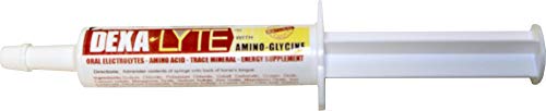 Dexa-Lyte Horse Electrolyte Supplement to Recharge Immune System