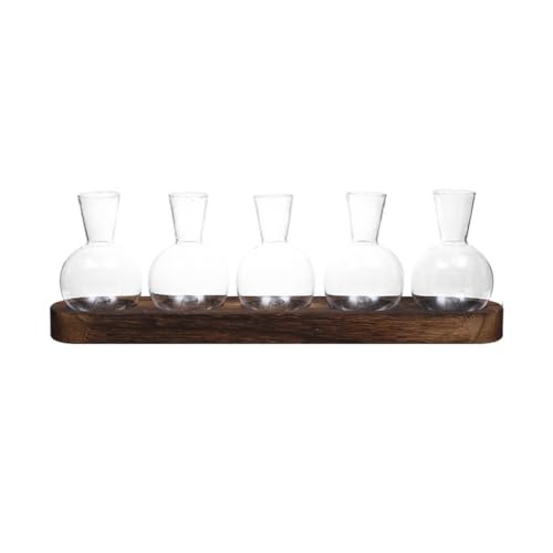 Jarrón de cristal de alta transparencia para cultivo hidropónico y decoración de diseño 2