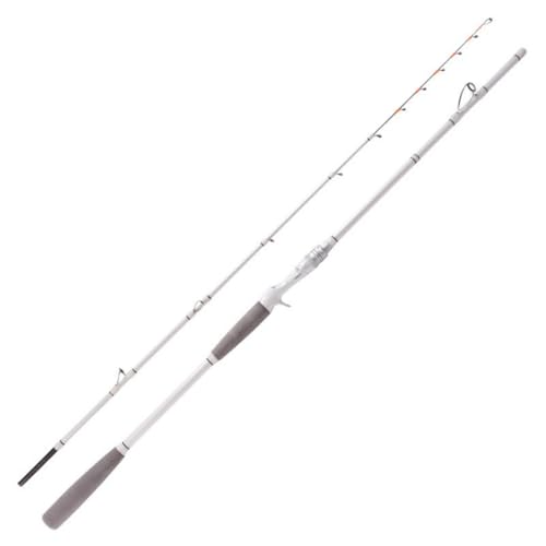 TYVAYAGE 船竿 近海用 チタンティップモデル 50-80号