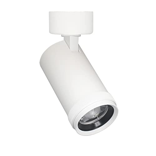 LEDart spot zoomable à fixer ILYAS 15W dimmable sur spot & angle focus ajustable 10°-50° Ra97 éclairage tableaux et effet lumineux (Blanc / 3000K)