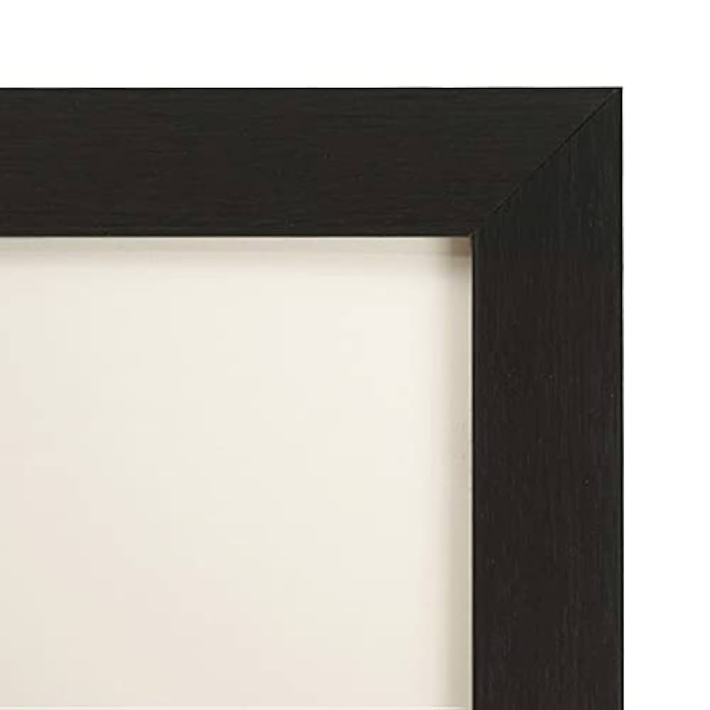 Amazon | 万丈 ミニ色紙額 ブラック [対応サイズ:122×137mm
