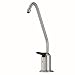 Watts 116101 Standard Faucet with Air Gap, Brushed Nickel