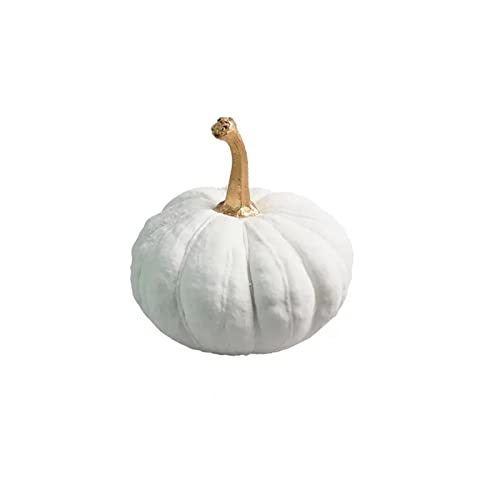 Statue Decorations Tabletop Statue Ornament Simulation Plant Sculpture Ornaments Fake Pumpkin Desktop Decorative Accessories Home Decor for Living Room Bedroom Kitchen Home Decor Object Size B