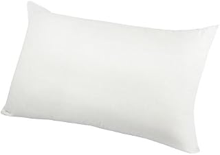 Century Home CHF Premium Polyester Filled Pillow, Jumbo