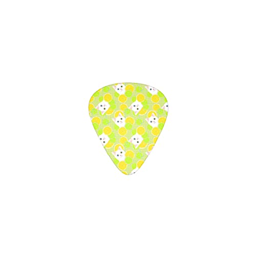 ƔL fUCM^[sbN guitar pick eBAhbv^ GLM^[/AR[XeBbNM^[/NVbNM^[/x[X̗KɍœK12Zbg