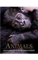 Animals: Encyclopedic Guide to the World's Wild... 1407543253 Book Cover