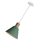 Plafonniers pour cuisine : design moderne, ce plafonnier est plus pour une décoration de style moderne, luminaires de cuisine suspendus au plafond