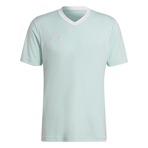 Adidas Homme Entrada 22 Jersey, Clear Mint, S