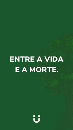 36 dias: 36 dias: - Imagem 4