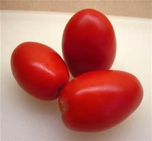 Generic Roma Tomatoes Freh Vegetables Fruit Produce 10 pounds, medium
