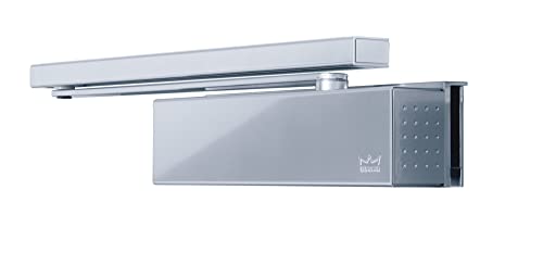 Dorma s Tipo 91 contur b - Chiudiporta un solo corpo - Argento Force 4