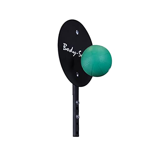 Body Solid (SPRBT) Wall Ball Target Training with Wall, Medicine & Slam Balls, Compatible with SPR1000, SPR500, SPRACB, SR-HEX and SR-HEXP Power Racks, Home and Commercial Gym Attachments