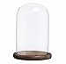 MyGift 8-Inch Clear Glass Cloche Dome Decoration Case, Decorative Tabletop Centerpiece Cloche Jar with Rustic Dark Brown Wood Base
