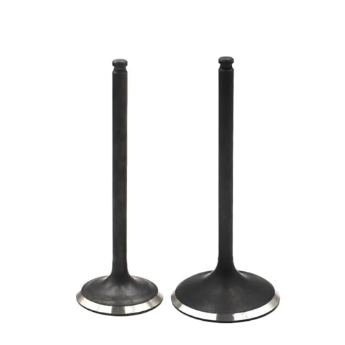 Sello de aceite para vástago de válvula contra humo de escape en motos DRZ400 y LTZ400