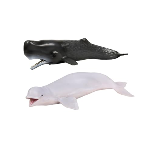 BESTonZON 2 Cm͌^ NW }bRENW A`vX`bNtBMA CeA  I[VCtR