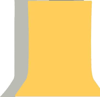 Cam Cart 8ft X 12ft Non-Transparent 2-in-1 Photography Backdrop Background Chromakey, 2 Colors in Single Backdrop (Gray & Yellow)