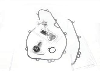 Eagle Mike KLR 650 Complete Doohickey Kit w/Torsion Spring, OEM Gaskets, Rotor Bolt