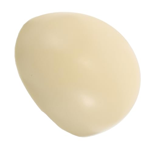 Beavorty Human Hair Mannequin Head For Hair Practice Plastic Mannequin Head For Cosmetology Training Braided Wigs And Hat Display