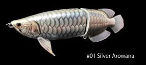 Amazon.co.jp: ドランクレイジー 皇 SUMERAGI #01 シルバーアロワナ