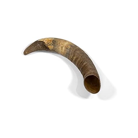 Little Loyals |100% Natural Cattle Horn |Dog Chew Toy |Long Lasting Treat |Fully Digestible |Gluten Free |Grain Free |Free Range| Grass Fed| for Aggressive Chewers |Dental Care |Medium Cover