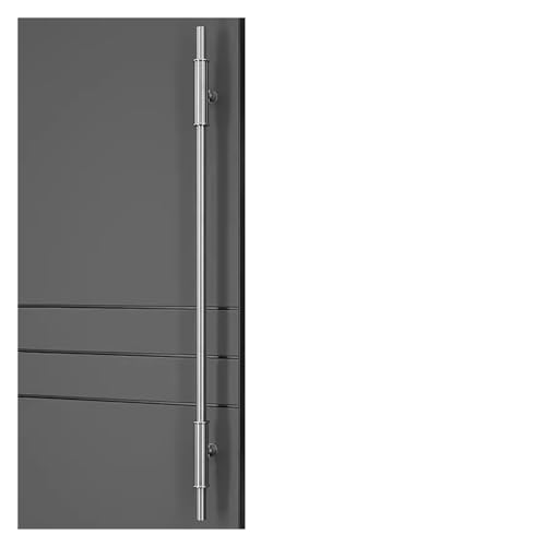 Poignées de porte françaises en acier inoxydable pour rénovation d'entrée