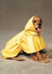 PUDDLES DOG RAINCOAT X-Small (Size=XS 505825)