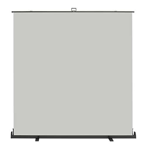 Walimex pro Roll-up Panel Hintergrund grau 210 x 220 cm, Fotohintergrund mit Transportbox, Hintergrundsystem für Fotostudio, knitterfreie Fotoleinwand ideal für Portraits und dezente Lichtakzente