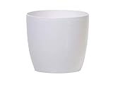 [page_title]-Prosperplast DUO400-S449 Blumentopf Coubi glänzende Optik, 40 X 40 X 36.5cm, 30L, weiß