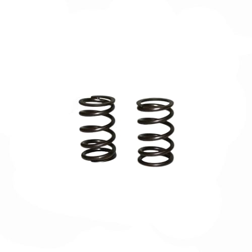 GX390 & 420 Predator, Pair,Springs, Valve, 54lb Single, Severe Duty - N1